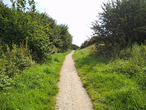 Highfield country park - south path