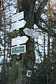 Čeština: Rozcestník turistických stezek na Klučovském kopci, okr. Třebíč. English: Hiking path signs at Klučov hill, Klučov, Třebíč District.