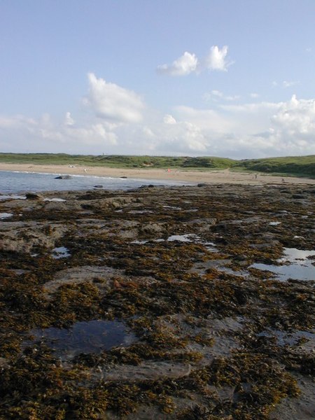 File:Howdiemont Sands - geograph.org.uk - 17429.jpg