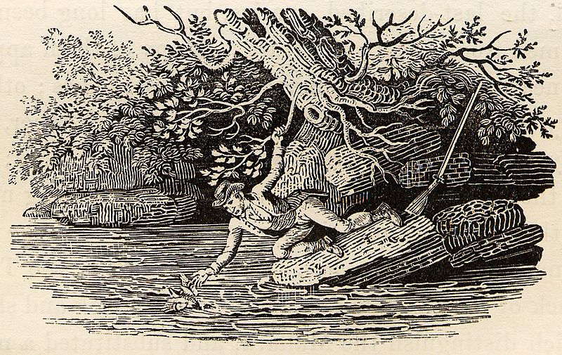 File:Hunter Precariously Retrieving Duck from River tail-piece in Bewick British Birds 1804.jpg