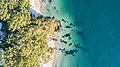 * Nomination: Aerial view of Hyams Beach in Booderee National Park, Jervis Bay Territory, Australia (by Charliekay) --SHB2000 08:24, 22 December 2022 (UTC) * * Review needed