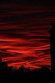 IMG 8088 - Extraordinary sunset in Milan. Photo by Giovanni Dall'Orto, October 29 2017.jpg