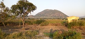 Poli (Kamerun)