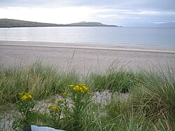 Irsko dingle beach.jpeg