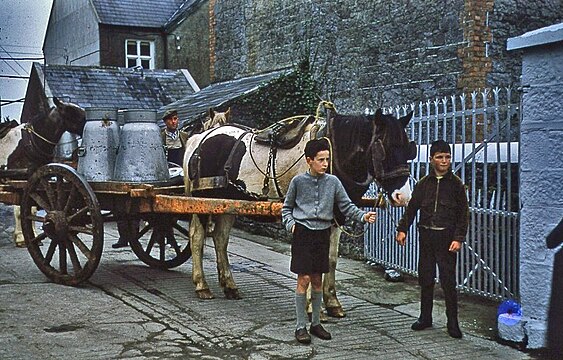 Irish boys and milk cart  in 1962