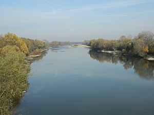 Річка Марг (Велика Морава)