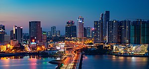 Johor Bahru skyline at night.jpg