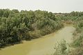 Jordan river (2007-05-809) (1331027384).jpg