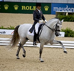 Хосе Антонио Гарсия Мена-WEG 2010-B.jpg