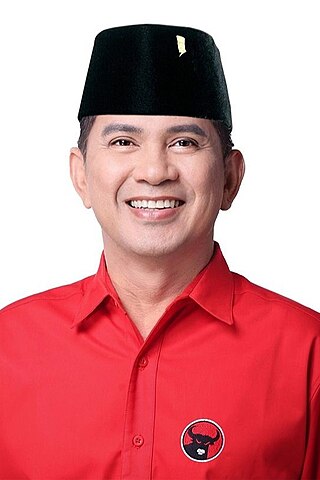 <span class="mw-page-title-main">Ronnie Sianturi</span> Indonesian singer and actor (born 1965)
