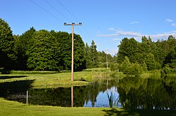 Kokõ pond