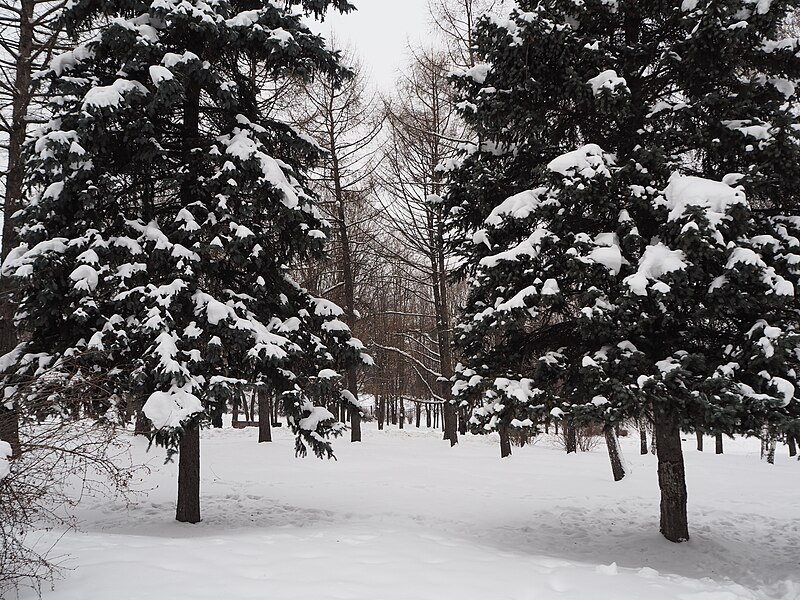 File:Kolomenskoye in winter 09.jpg