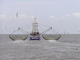 Crab boat working the North Sea Krabbenkutter Ivonne Pellworm P5242390jm.JPG