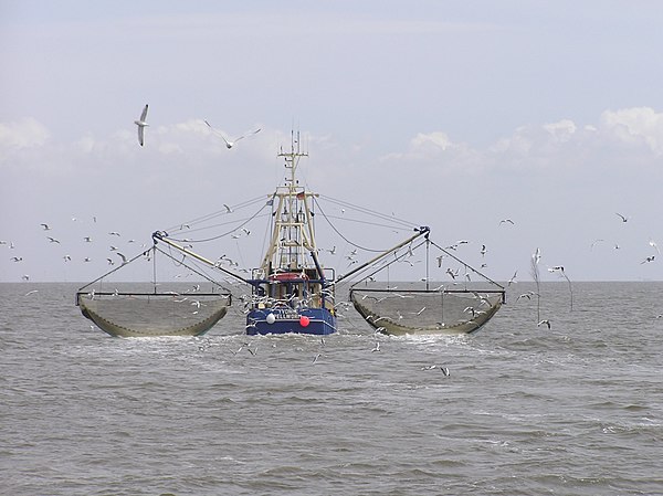 Crab boat working the North Sea