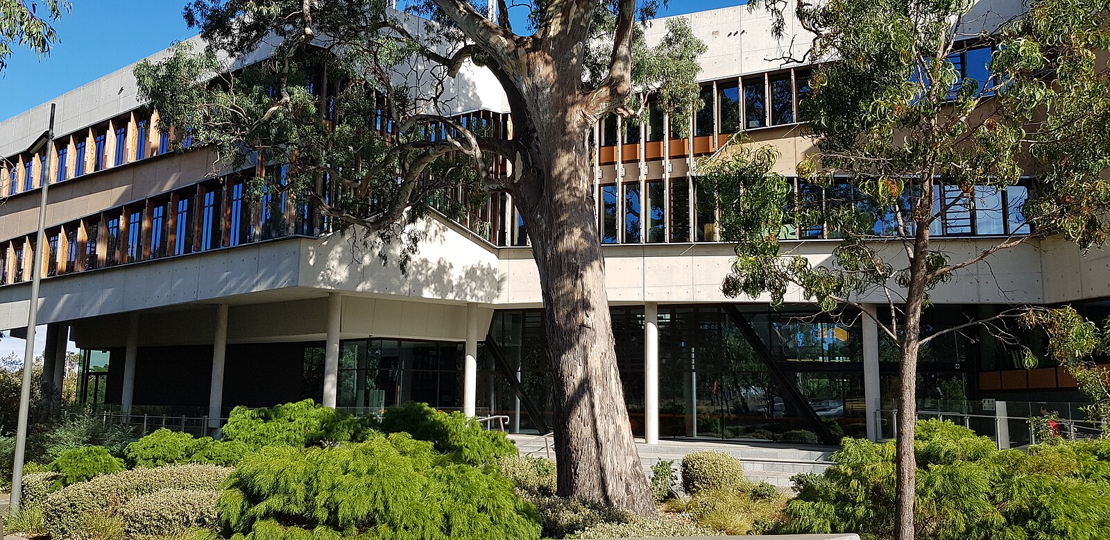 La university. Университет ла Тробе. La Trobe University. La Trobe University Sydney Campus.