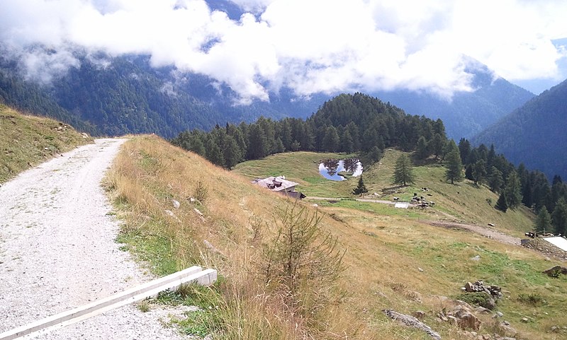 File:Laghetto di Malga Preghena in Val di Bresimo (TN) - panoramio.jpg