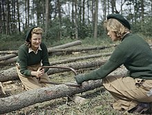 two uniformed members of the Women's Timber Corps cutting pit props using a crosscut saw