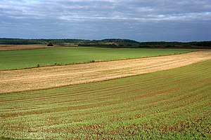 Agriculture En Pologne