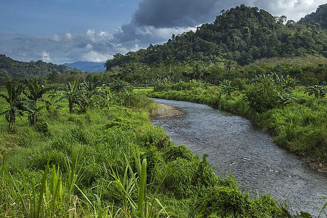 Tropical Rainforest, One of Earth's Large Biome - Taman Safari Bali