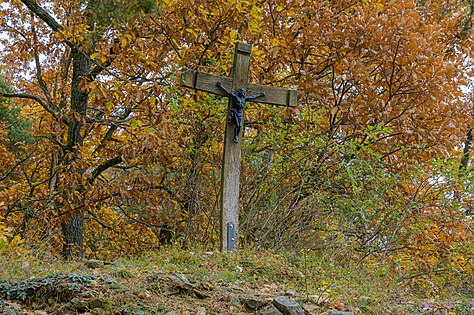 November Fassdaubenkreuz am Heilgenstein in Zöbing, Langenlois. von Isiwal