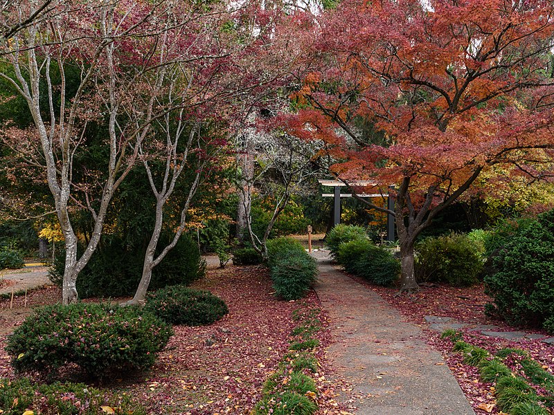 File:Lithia Park Ashland November 2019 010.jpg