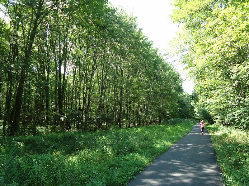 File:Loantaka Brook Reservation bikeway pathway with joggers.jpg