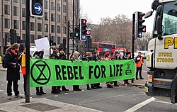 London November 23 2018 (19) Extinction Rebellion Protest Tower Hill.jpg