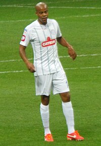 Ludovic Sylvestre (2013)