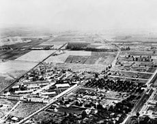 Aerial shot of Goldwyn Studios c. 1922 MGM-studios-1922.jpg