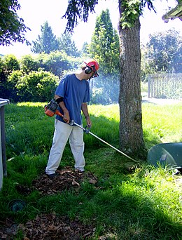 Potentieel Schat Groenland Trimmer (grasmaaier) - Wikipedia