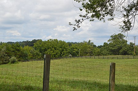 Maple Springs driveway