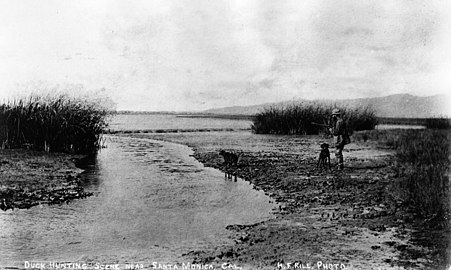 Duck hunting on the Ballona lowlands, 1890