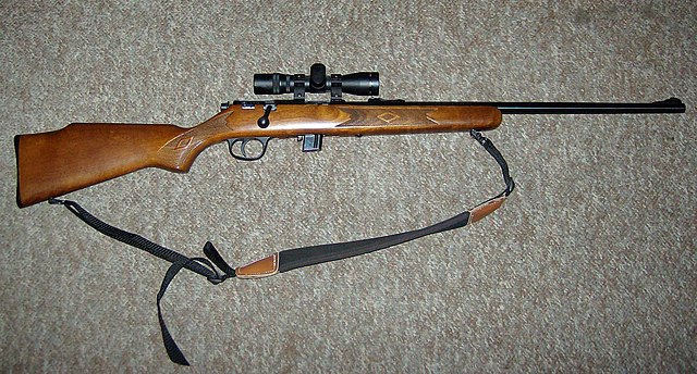 Marlin Model 25N .22 LR rifle with aftermarket sling and scope