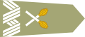 Marshal of Poland shoulder-strap insignia