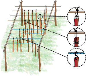 Conservation De La Viande: Nécessité de la conservation, Aperçu historique de la conservation, Procédés de conservation traditionnels