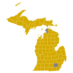 Primarias del Partido Demócrata de 2008 en Míchigan