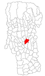 Mioveni – Mappa