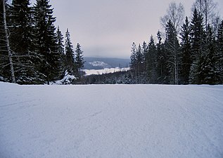 Midt i skikassen, Romme Alpin 2009 - panoramio.jpg