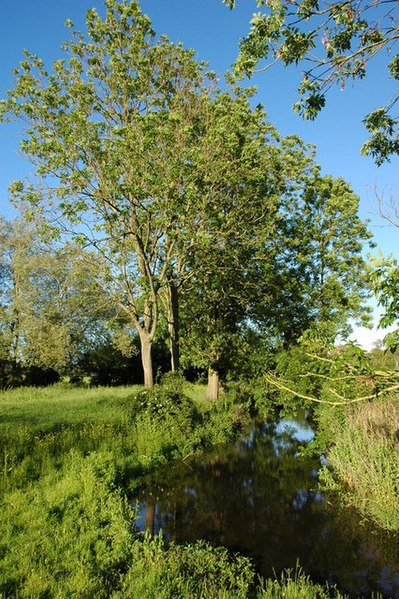 File:Moat near Earl's Croome church - geograph.org.uk - 467094.jpg