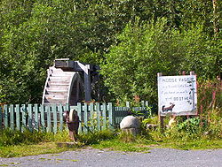 Wasserrad und Schleifstein neben dem Seward Highway.Auf dem Schild steht: quot;Moose Pass ist eine friedliche kleine Stadt. Wenn Sie eine Axt zum Mahlen haben, tun Sie es hier.quot;