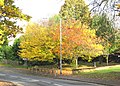 More autumn colour at Hanging Hill Lane - geograph.org.uk - 1198533.jpg