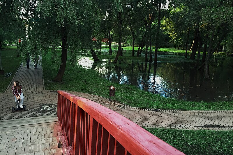 File:Moscow, Yauza Valley in Sviblovo, flood after the 15.08.2016 rainstorm (31490124102).jpg