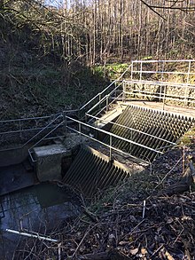 The inflow to one of Moston Brook's culverts