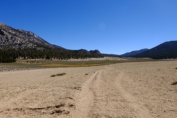 Image: Mulkey Meadows on the way back to Trail Pass (44536422422)