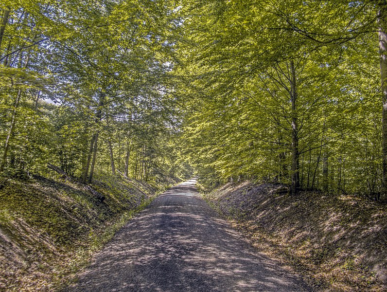 File:Nördlich von Hofstetten in der Nähe des Rennwegs 3.jpg