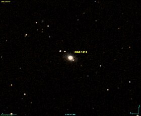 NGC 1013 DSS.jpg