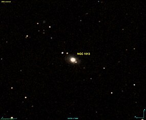 NGC 1013 DSS.jpg
