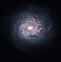 Thumbnail for NGC 3982