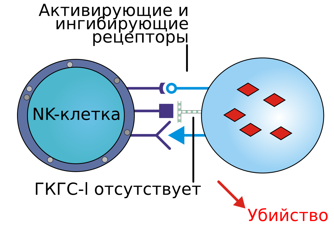 File:NK-recognition-ru.svg