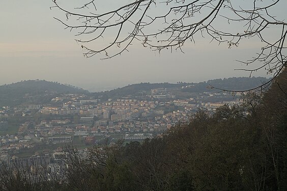 Nature in the foreground as a refugee looking back to its former home